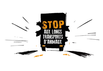 "Stop aux transports d'animaux"