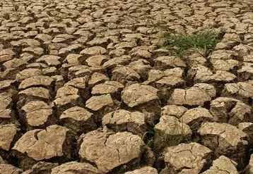 Terre craquelée par la sécheresse