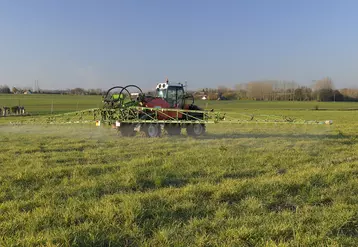Pesticide
