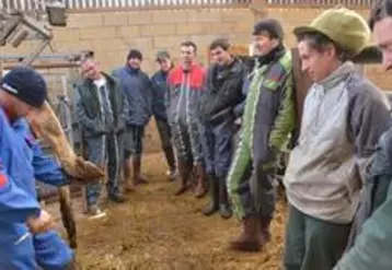 La formation des éleveurs à la détection précoce et aux premiers gestes de parage est essentielle.