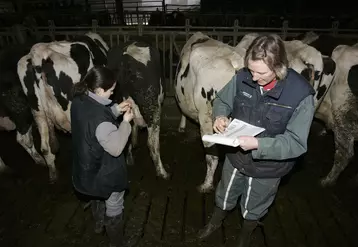 Vétérinaire - élevage bovin