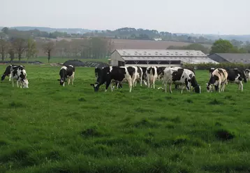 paysage agricole en Bretagne