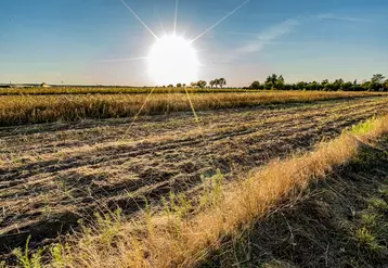 sécheresse France agriculteurs soutien