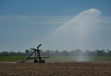 irrigation de cultures pendant la sécheresse