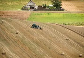 Travaux agricoles dans les champs