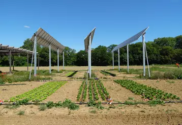 Photovoltaïque et agriculture, agrivoltaïsme