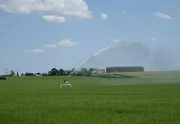 Irrigation d’orge dans le sud de l’Essonne