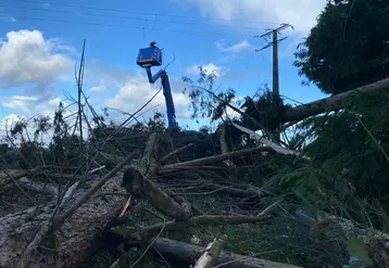 Agents d'Enedis réparant les dégâts sur les fils électriques après la tempête Ciaran
