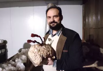 Javier Gorga producteur de champignons exotiques