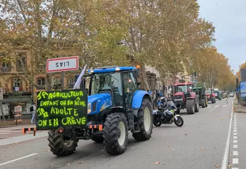 Manifestation agricole le 22 novembre à Toulouse