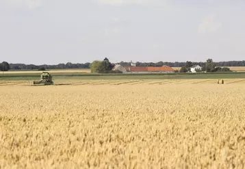 Exploitation agricole au milieu des champs