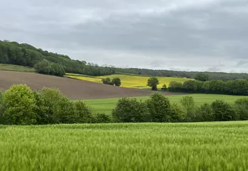 Paysage agricole français au printemps