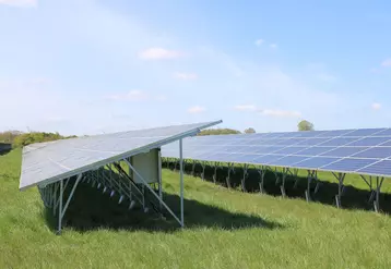 tests herbe photovoltaïque