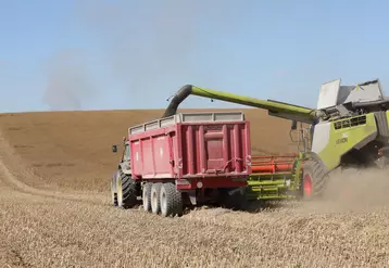 étude résilience agriculture grand est covid 19