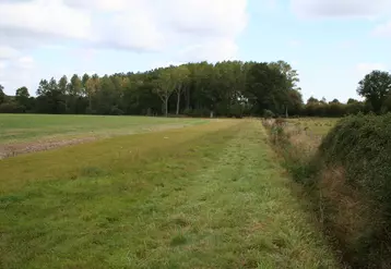 Fossé dans un champs