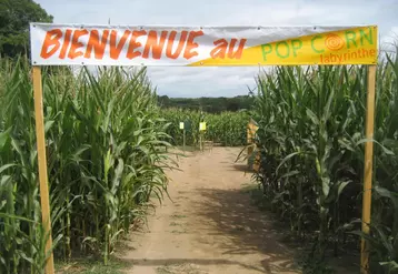 Entrée de Pop Corn Labyrinthe