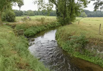  Cours d’eau entre deux parcelles agricoles  