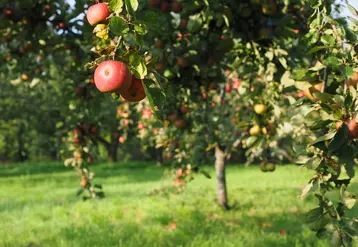 soutien agricole appel à projets val d'oise appels à projet