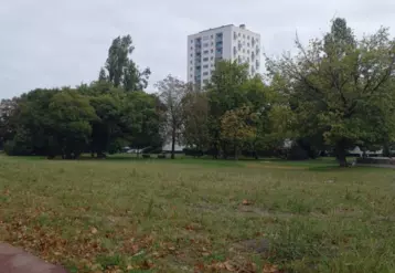 Parcelle d'herbe entourée d'arbres avec une tour de logements sur le fond de l'image