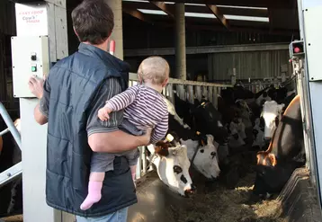 Agriculteur et son enfant dans la ferme devant des vaches