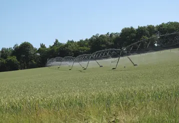 rampe d'irrigation dans un champ