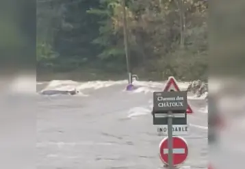 Vache emportée par une rivière en crue
