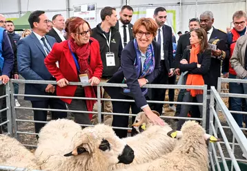 Annie Genevard, ministre de l’Agriculture, avec Michèle Boudoin présidente de la fédération nationale ovine, devant des moutons le 3 octobre sur le Sommet de l’élevage.