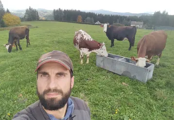 Un éleveur avec quatre vaches dans un pré