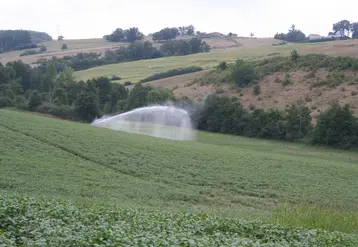 irrigation dans un champ vallonné