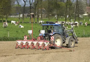  Agriculteur au volant de son tracteur pour le semis de ses maïs devant une prairie avec des vaches 