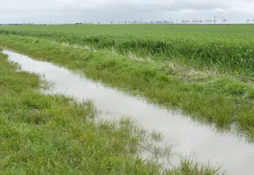 bordure de champ remplie d'eau