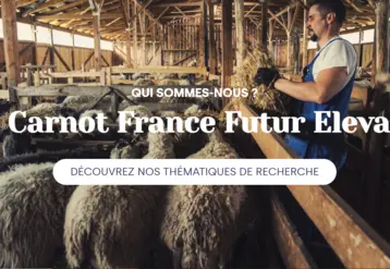 capture d'écran du site photo d'un homme avec des moutons dans une bergerie