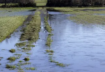 Terres agricoles inondées à cause de fortes pluies.