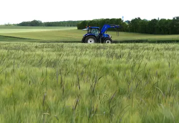 tracteur bleu dans un champ