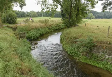 rivière bordant des champs avec des arbres