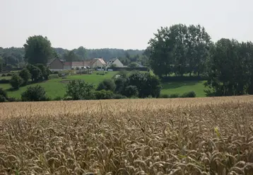 Terres agricoles avec au fond une maison