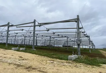 Parcelle grandes cultures en agrivoltaïsme avce des panneaux solaires