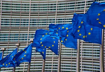 drapeaux européens devant le parlement à bruxelles