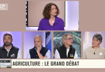 Pierrick Horel, Arnaud Rousseau, Véronique Le Floc'h et Laurence Marandola débattant sur LCP.