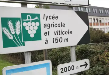 panneaux de signalisation indiquant un lycée agricole