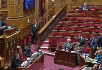 Capture d'écran du direct du Sénat, lors de l'adoption de la proposition de loi dite sur les "Entraves". 