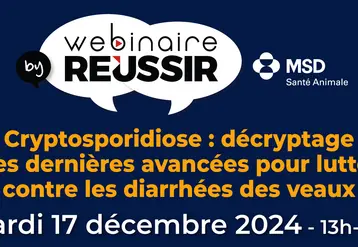 file-Cryptosporidiose : décryptage des dernières avancées pour lutter contre les diarrhées des veaux