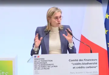 Agnès Pannier-Runacher
