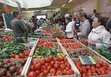 marché local : étal de légumes avec vendeur et clients