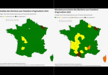 Comparaison des résultats au collège 1 des chefs d'exploitation agricole aux élections chambres d'agriculture entre 2019 et 2025