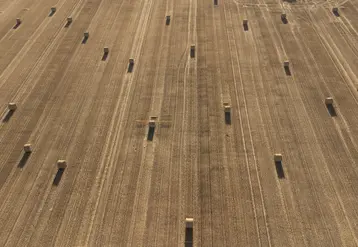 Bottes de paille dans un champs de blé dans l'Indre