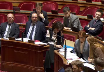   Le sénateur Laurent Duplomb à gauche lors de l’examen du projet de l’orientation agricole le 5 février au Sénat avec la ministre de l’Agriculture Annie Genevard.