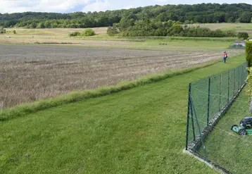 Bande enherbée en zone de non traitement, à proximité d'habitations le long d'un champ de blé. 