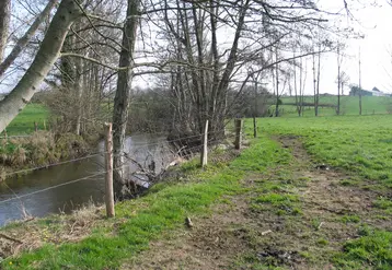 cours d'eau en bordure de prairie