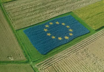 vue aérienne d'un drapeau européen dessiné dans un champ